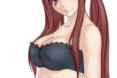 Erza Fairy Tail hentai (114)