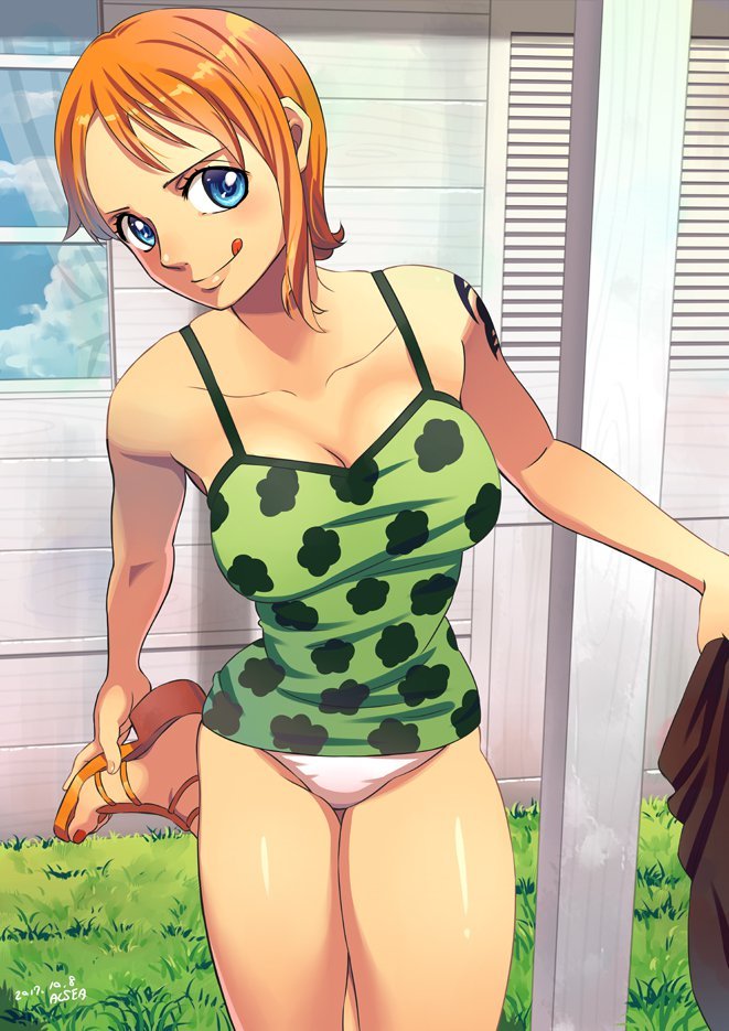 Nami One Piece Hentai