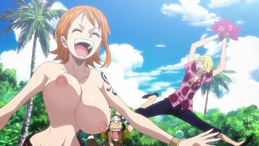 nami one piece hentai 